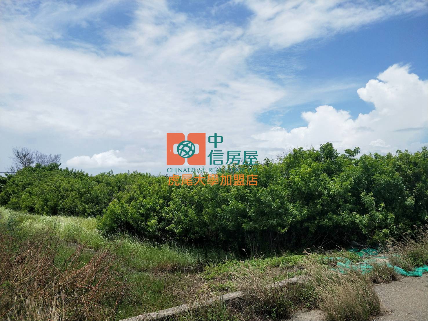 【售】四湖萡子寮3分農地 - 20250721103907-65627740.jpg(圖)