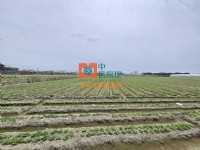 【售】虎尾大屯農地_圖片(2)