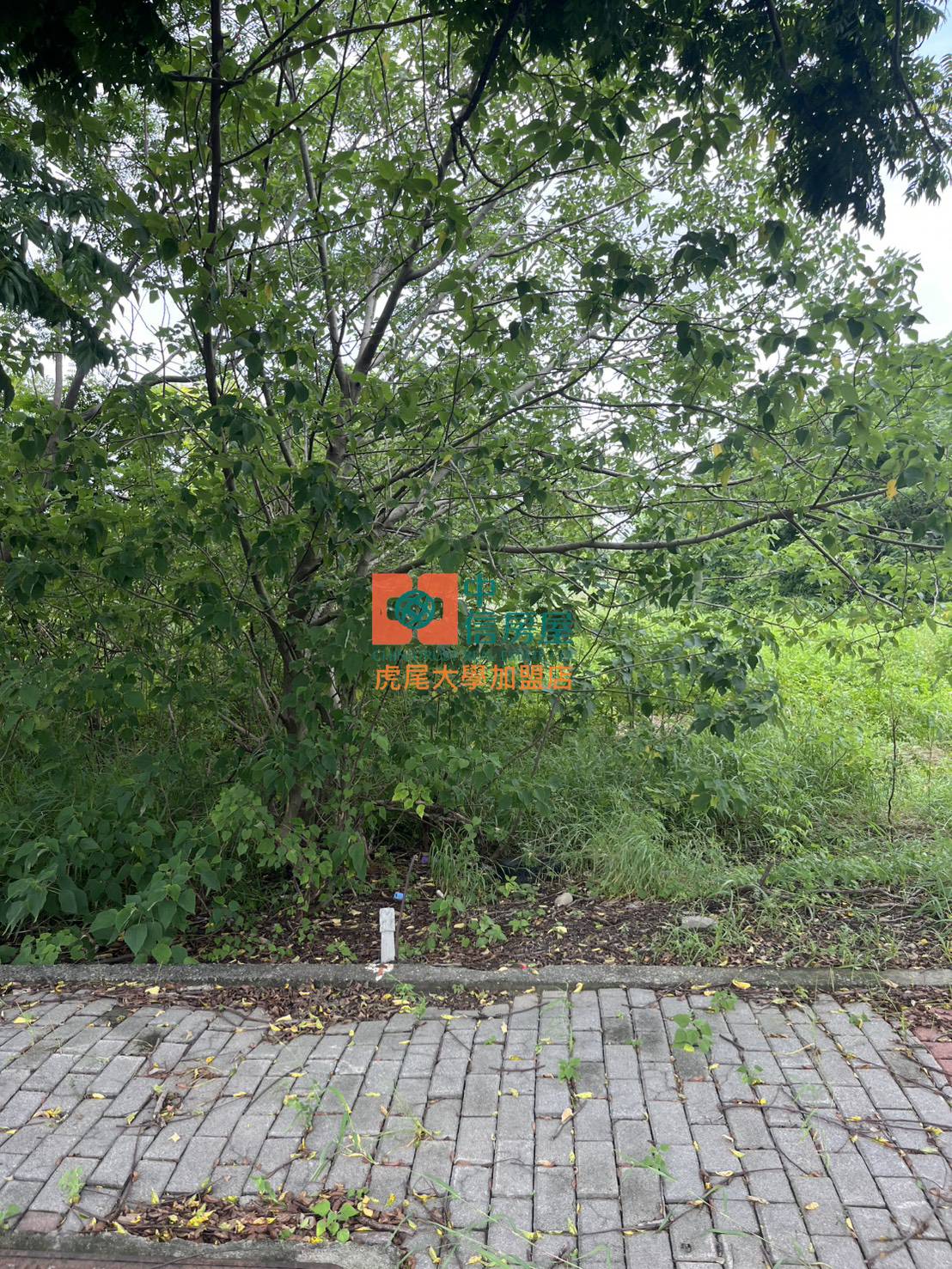【售】虎尾高鐵商二建地 - 20250806100244-445823169.jpg(圖)