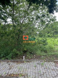 【售】虎尾高鐵商二建地_圖片(1)