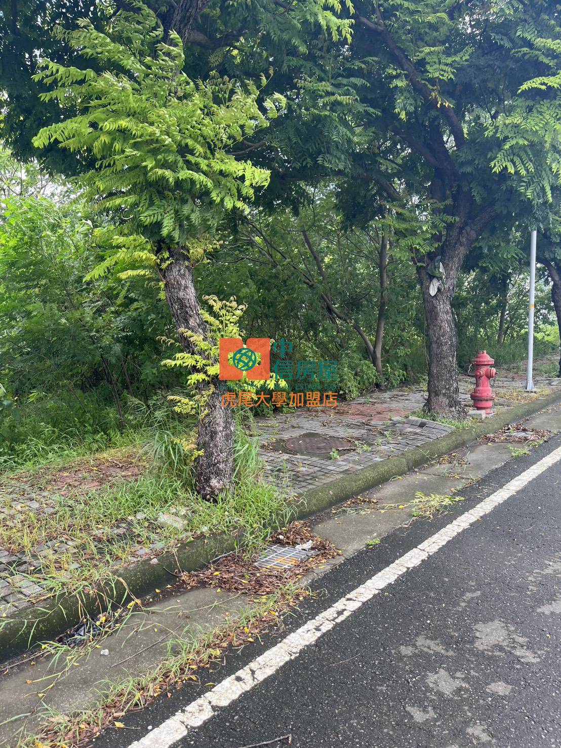 【售】虎尾高鐵商二建地 - 20250806100244-445874761.jpg(圖)