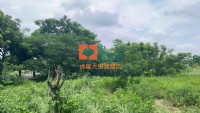 【售】虎尾高鐵商二建地_圖片(4)