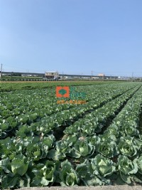 【售】三合里雙面路農地_圖片(1)