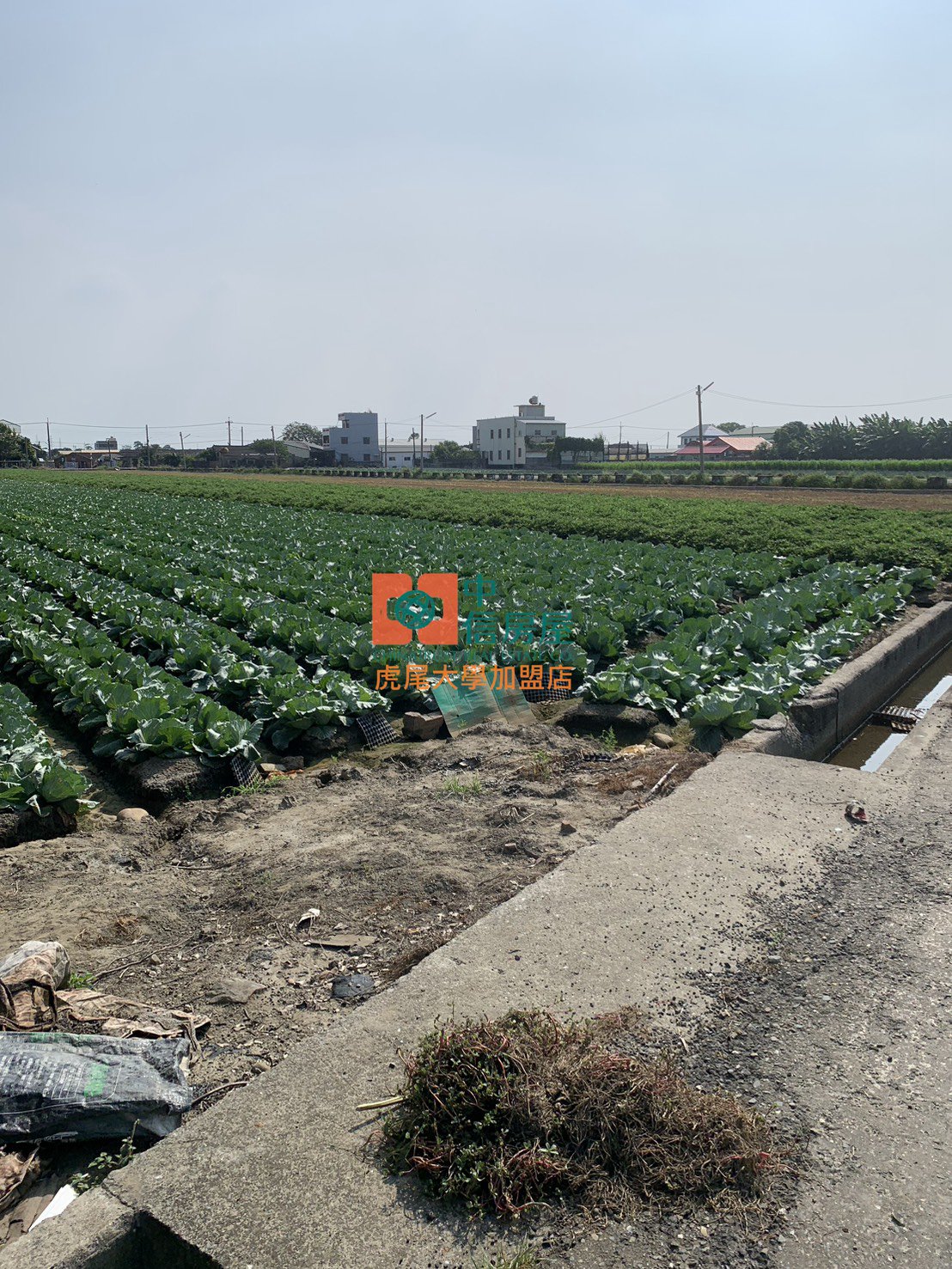 【售】三合里雙面路農地 - 20251015093912-492424176.jpg(圖)