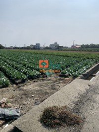 【售】三合里雙面路農地_圖片(2)