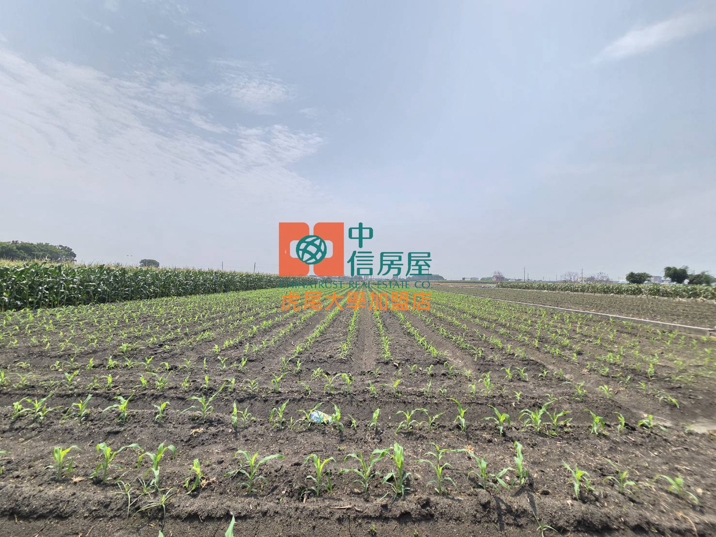 【售】土庫大荖農地 - 20260402143630-111835748.jpg(圖)
