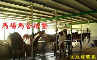 水鹿生產防滑墊.水鹿養殖場墊.鹿茸養鹿場墊.馬場馬舍踏墊.牧場地墊.健身房地墊.豬舍保溫墊_圖片(2)