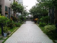 社區別墅~惜售~_圖片(1)