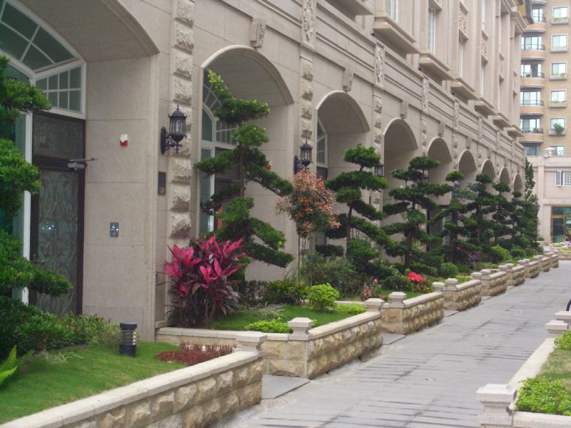 <歐楓大郡美墅 >南崁有巢氏房屋買賣聯賣網,歡迎賞屋專線:0986-520-710 - 20090421011316_276729046.JPG(圖)