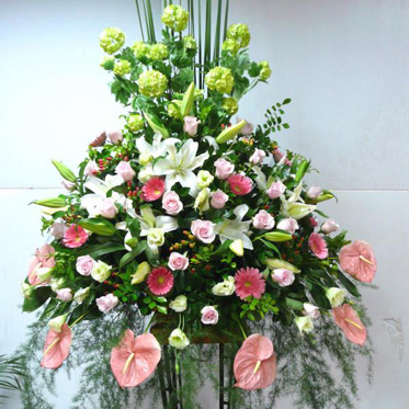 綠林坊花園-花禮館  台北市花店,台北花店,台北市網路花店,新北市花店,板橋花店,三重花店,新莊花店,永和花店,新店花店,中和花店,汐止花店,土城花店,鶯歌花店,樹林花店,淡水花店,三峽花店,五股花店 - 20080802205938_824083008.jpg(圖)