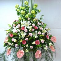 綠林坊花園-花禮館  台北市花店,台北花店,台北市網路花店,新北市花店,板橋花店,三重花店,新莊花店,永和花店,新店花店,中和花店,汐止花店,土城花店,鶯歌花店,樹林花店,淡水花店,三峽花店,五股花店_圖片(3)