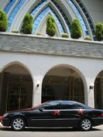 台中結婚禮車*台中租車*中部租車*租車*賓士S350*結婚禮車*禮車*機場接送*9人座*包車*中部觀光旅遊  _圖片(4)