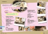 期待已久的JOJOCAT寵物誌第3期出刊_圖片(4)