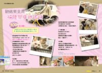期待已久的JOJOCAT寵物誌第3期出刊_圖片(4)