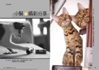 JOJOCAT寵物交友網-5月點閱率破150萬_圖片(3)