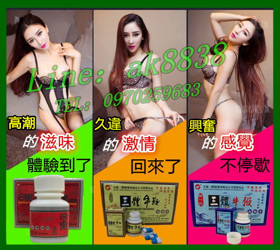 原廠三體牛鞭丸 - 20230420162353-979105655.jpg(圖)