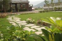 【花蓮青山河畔】入住可享花蓮賞鯨四人成行一人免費_圖片(4)