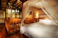 萬眾矚目的清境暑假重頭戲 2010 清境風車節熱鬧登場了~_圖片(4)