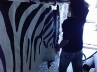 台中清潔 沙發/地毯除臭清洗.塑膠地板打腊.裝潢後清潔.0986-460298~0931-463181(許先生)._圖片(2)