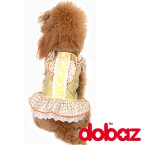 Dobaz（哆比）宠物用品供应商诚招代理商和经销商 - 20080821100927_241121578.jpg(圖)