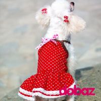Dobaz（哆比）宠物用品供应商诚招代理商和经销商_圖片(4)