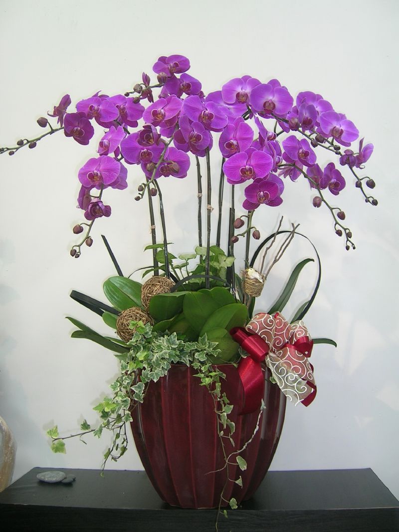花境花意概念 - 20080924201749_259207578.jpg(圖)
