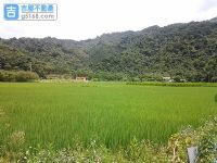 三星農地,宜蘭農地買賣,宜蘭三星農地價位_圖片(1)