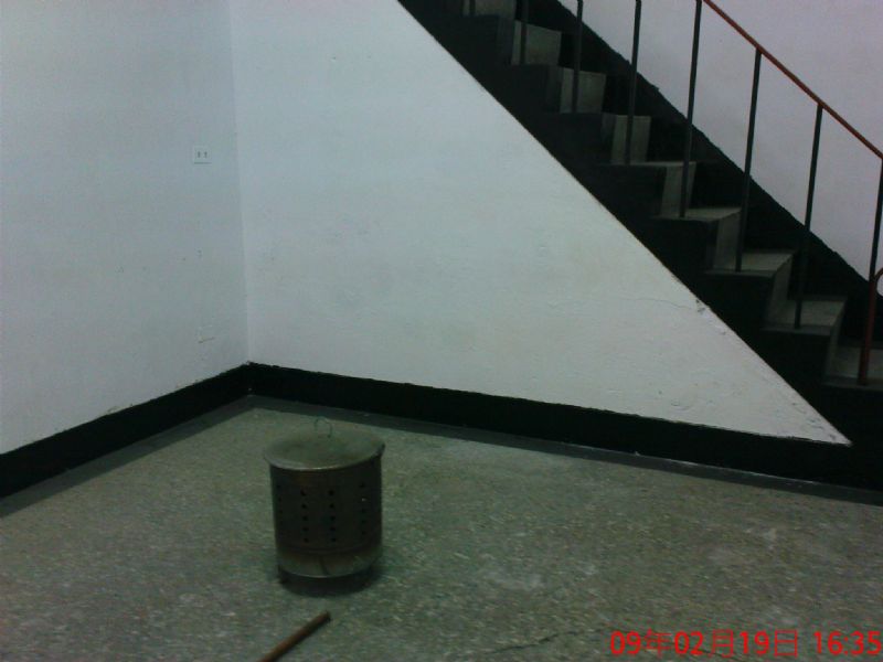近機場 大同中國學 - 20090219200355_959553250.jpg(圖)