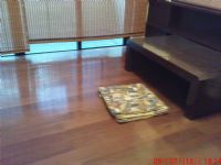 新成屋租透天百萬裝潢家電全、 鶴聲國小旁_圖片(2)