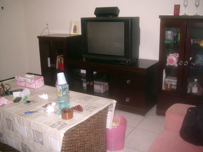傢電齊全華廈租 - 20090722181205_257840187.jpg(圖)