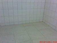 透天2房出租適中又美 近中山路火車站5分鐘_圖片(2)