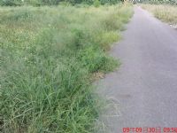 4.6分旱地臨3面路交通方便一分賣150萬_圖片(3)