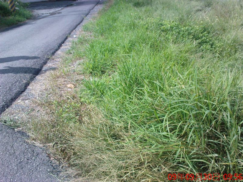 4.6分旱地臨3面路交通方便一分賣150萬 - 20091004083106_800036414.jpg(圖)