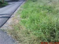 4.6分旱地臨3面路交通方便一分賣150萬_圖片(4)
