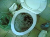 通馬桶-馬桶不通-包通-高雄_圖片(1)