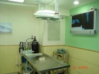 幸福動物醫院_圖片(3)