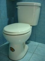 摩登馬桶(高雄包含安裝+運送+拆除清運)3500元裝到好_圖片(1)