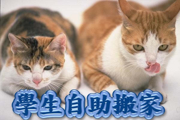 桃園、中壢、八德、學生自助搬家500元起  - 20081216135016_409666453.jpg(圖)