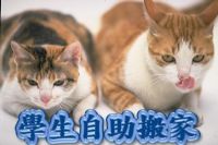 桃園、中壢、八德、學生自助搬家500元起 _圖片(1)