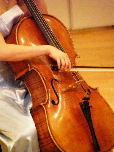 基隆鋼琴大提琴樂理教學  - 20090109010504_435160500.JPG(圖)