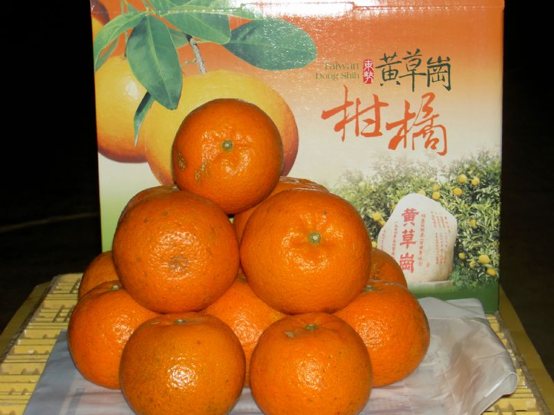 安全高品質水果 - 20090604204938_122012062.jpg(圖)