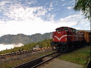 從阿里山的山腳下沿路玩到最高峰!! _圖片(1)