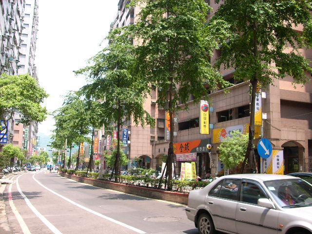 樹林房屋 公寓 大樓 電梯 華廈 中華綠第3房 近大同國小 樹林中學 0970-093681 - 20090713105942_454978256.JPG(圖)