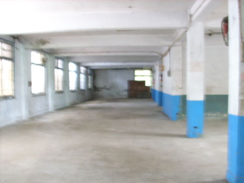 樹林房屋 土地 廠房 商辦 精選迴龍工業地 買地送廠 屋況佳免整理 0970-093681 - 20091005100541_709080351.JPG(圖)