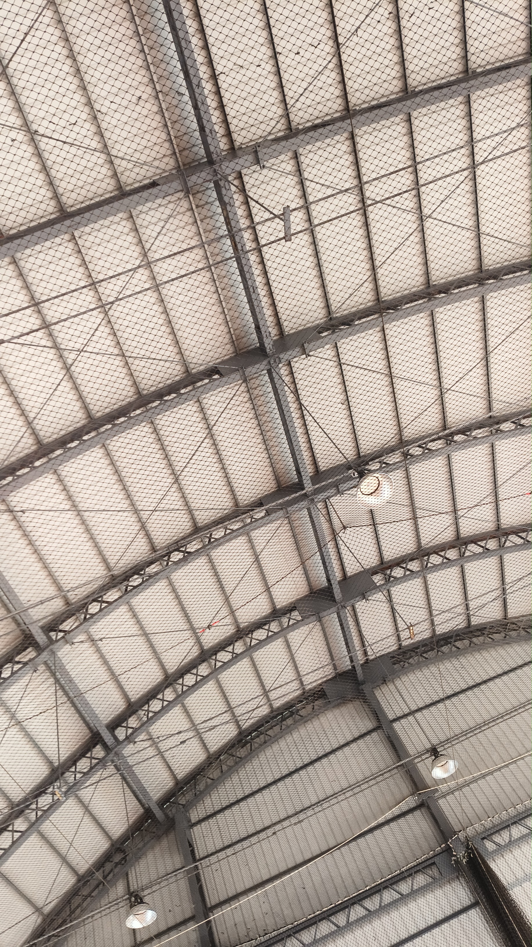 安全網，防墜網，防鳥網，大樓防護網 - 20260414150142-476515930.jpg(圖)