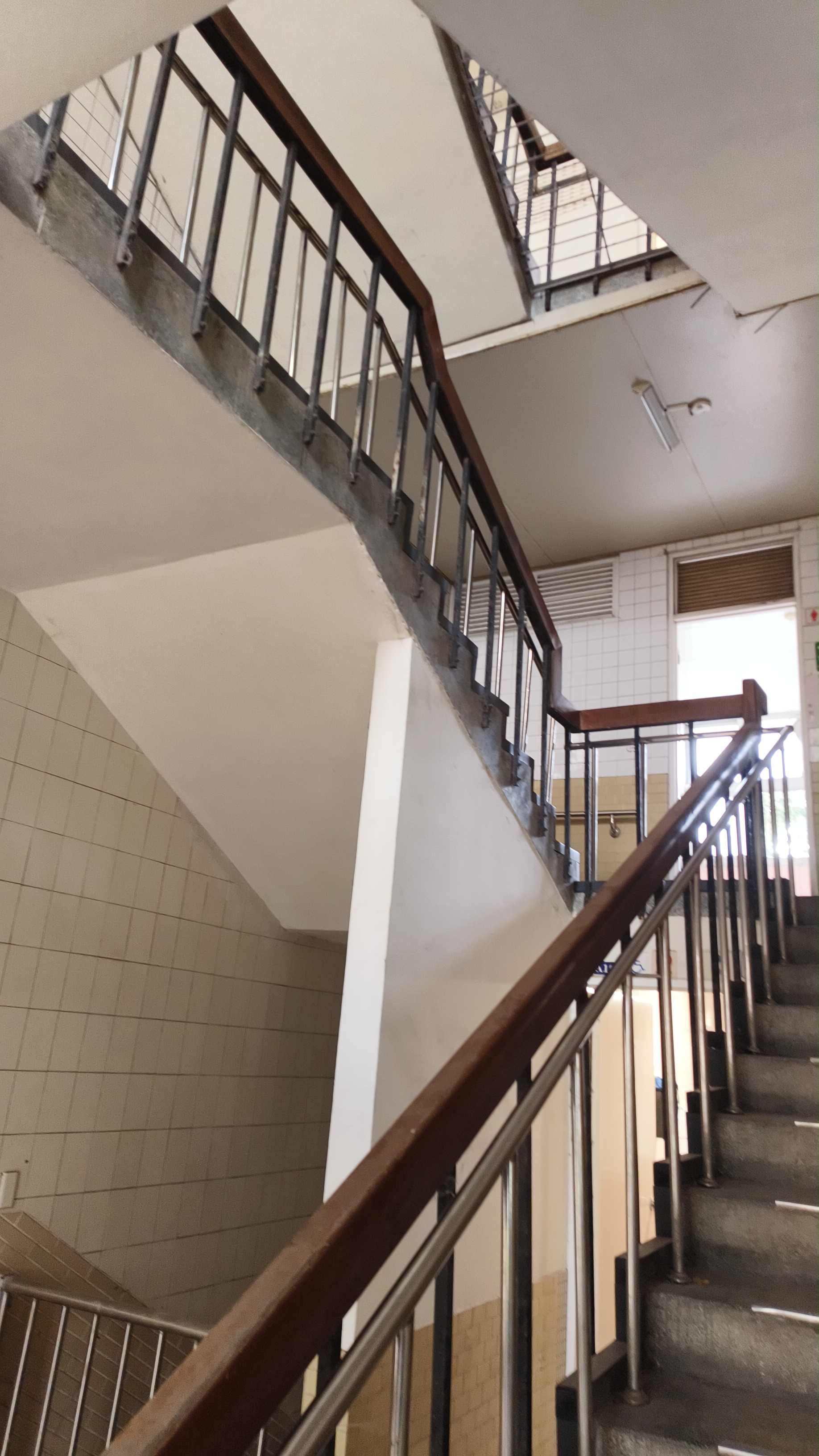 安全網，防墜網，防鳥網，大樓防護網 - 20260414150142-476542454.jpg(圖)