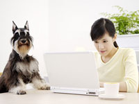 網站是企業的縮影《網站架設,網路行銷,網站優化SEO,網頁設計》 - 20100416153814_404216359.jpg(圖)