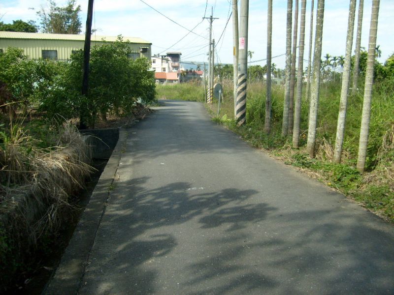 東山農地 - 20090405151246_917233687.JPG(圖)