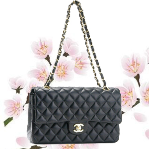 ０９年新款１：１ＬＶ包，ＧＵＣＣＩ，ＣＨＡＮＥＬ＜www.b3bag.com＞ - 20090417132121_946691406.jpg(圖)