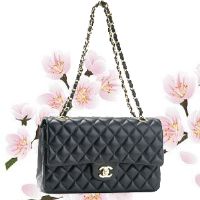 ０９年新款１：１ＬＶ包，ＧＵＣＣＩ，ＣＨＡＮＥＬ＜www.b3bag.com＞_圖片(3)